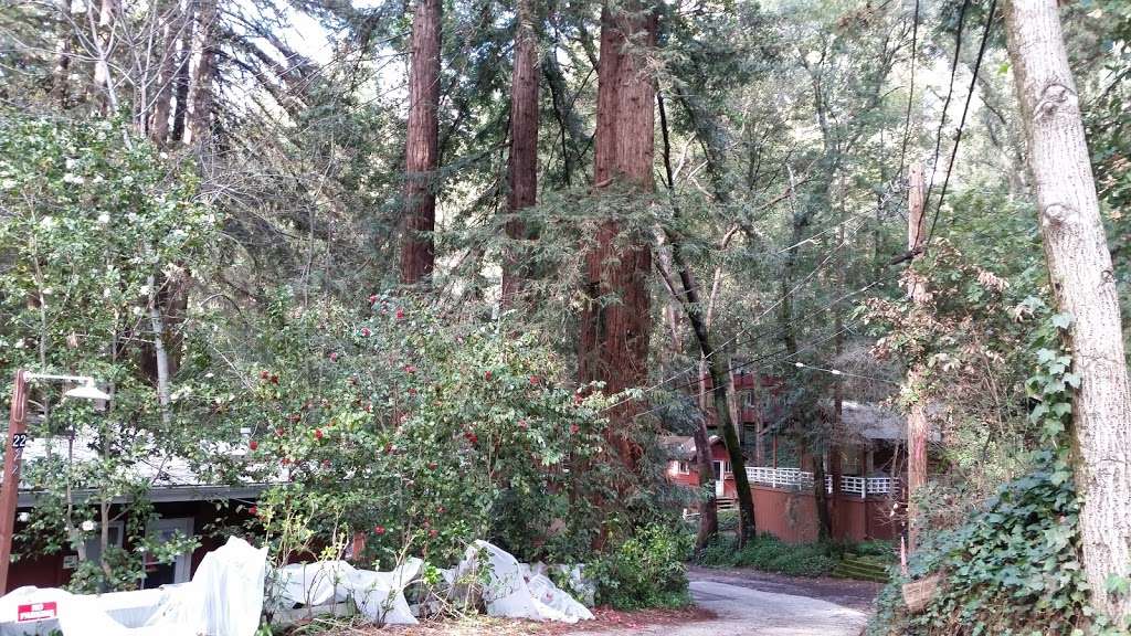 Mount Hermon Redwood Camp | 6480 E Zayante Rd #6400, Felton, CA 95018, USA | Phone: (831) 335-4466