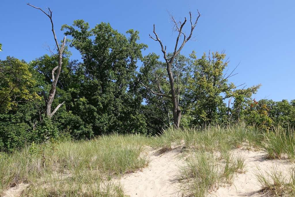 Parking for Indiana Dunes State Park | Chesterton, IN 46304