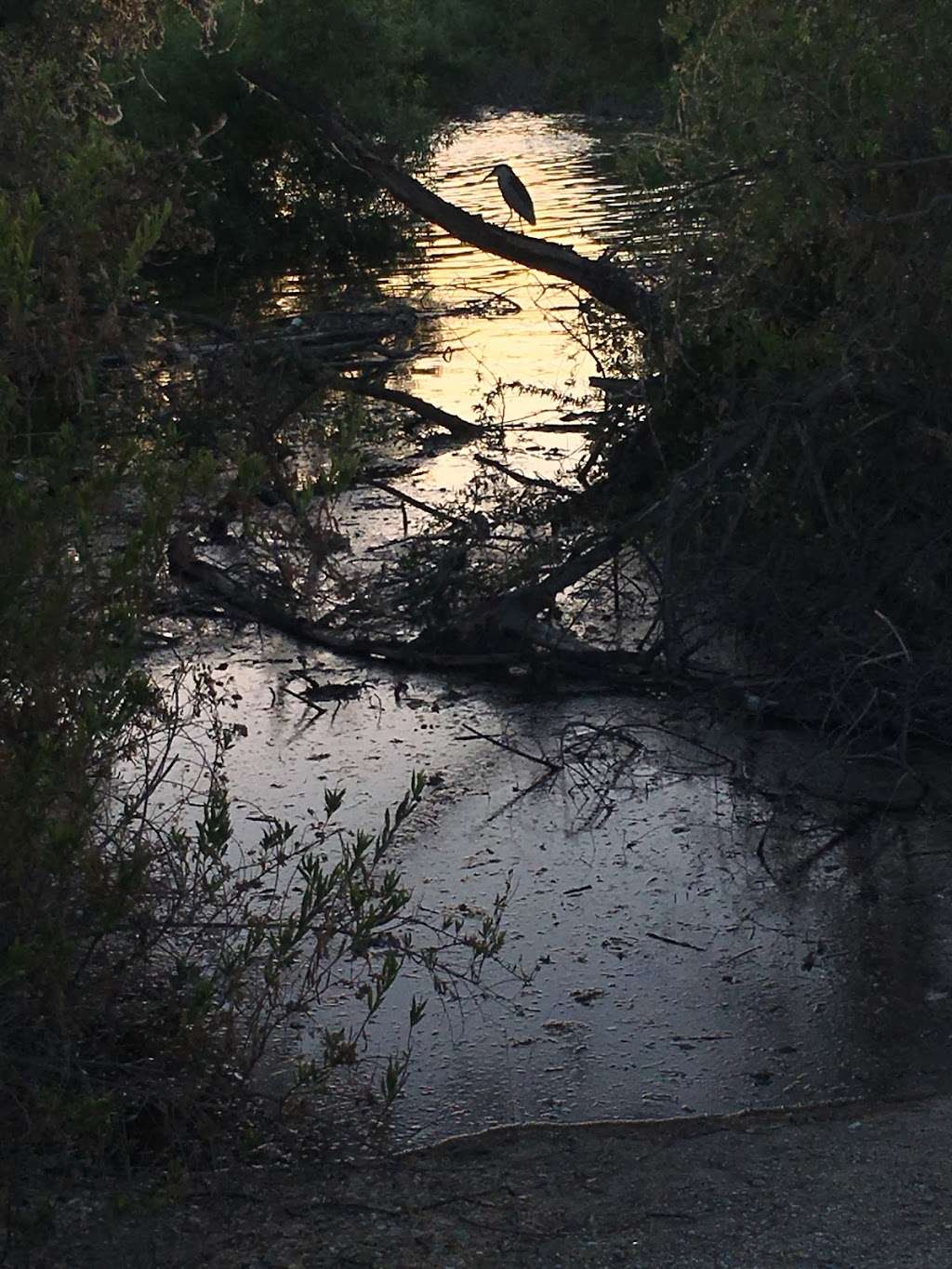 Mungi Lake | El Monte, CA 91732, USA