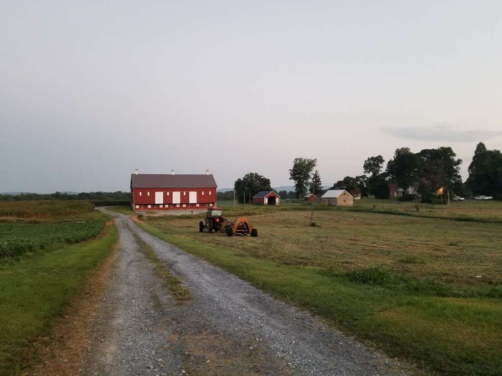 Monocacy National Battlefield-Thomas Farm Loop Trail | Unnamed Road, Frederick, MD 21704, USA