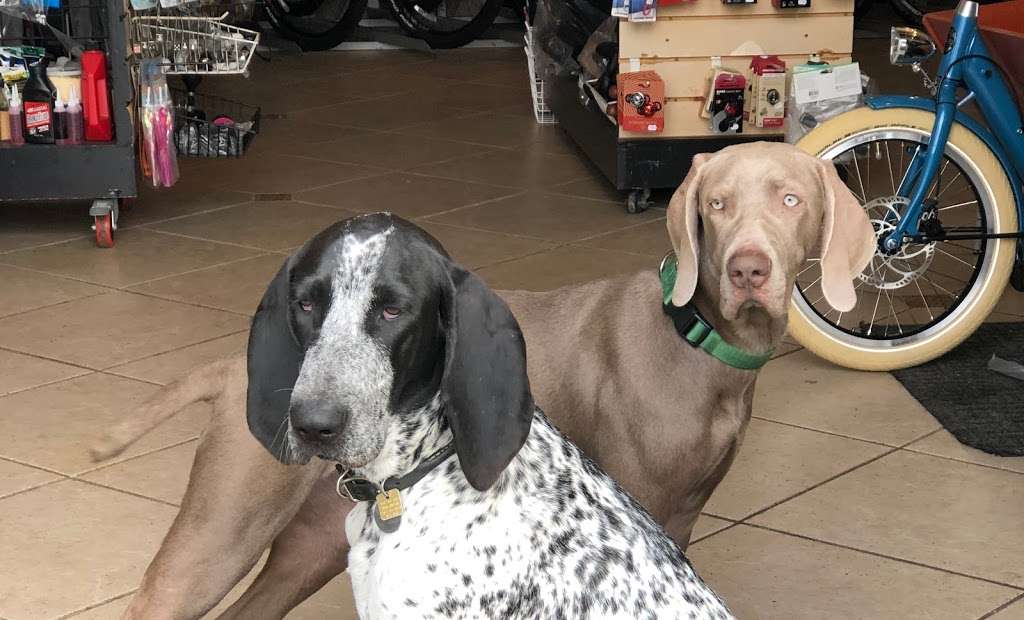 Veloworx Bikes | 3106 Lincoln Blvd, Santa Monica, CA 90405, USA | Phone: (310) 584-9797