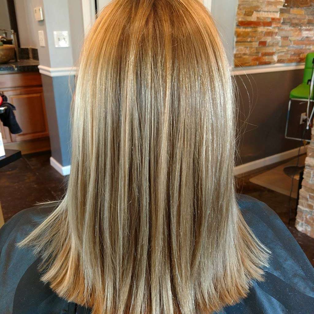 Karen Hockaday- Eco Salon | 9233 Park Meadows Dr, Lone Tree, CO 80124, USA | Phone: (303) 513-3031