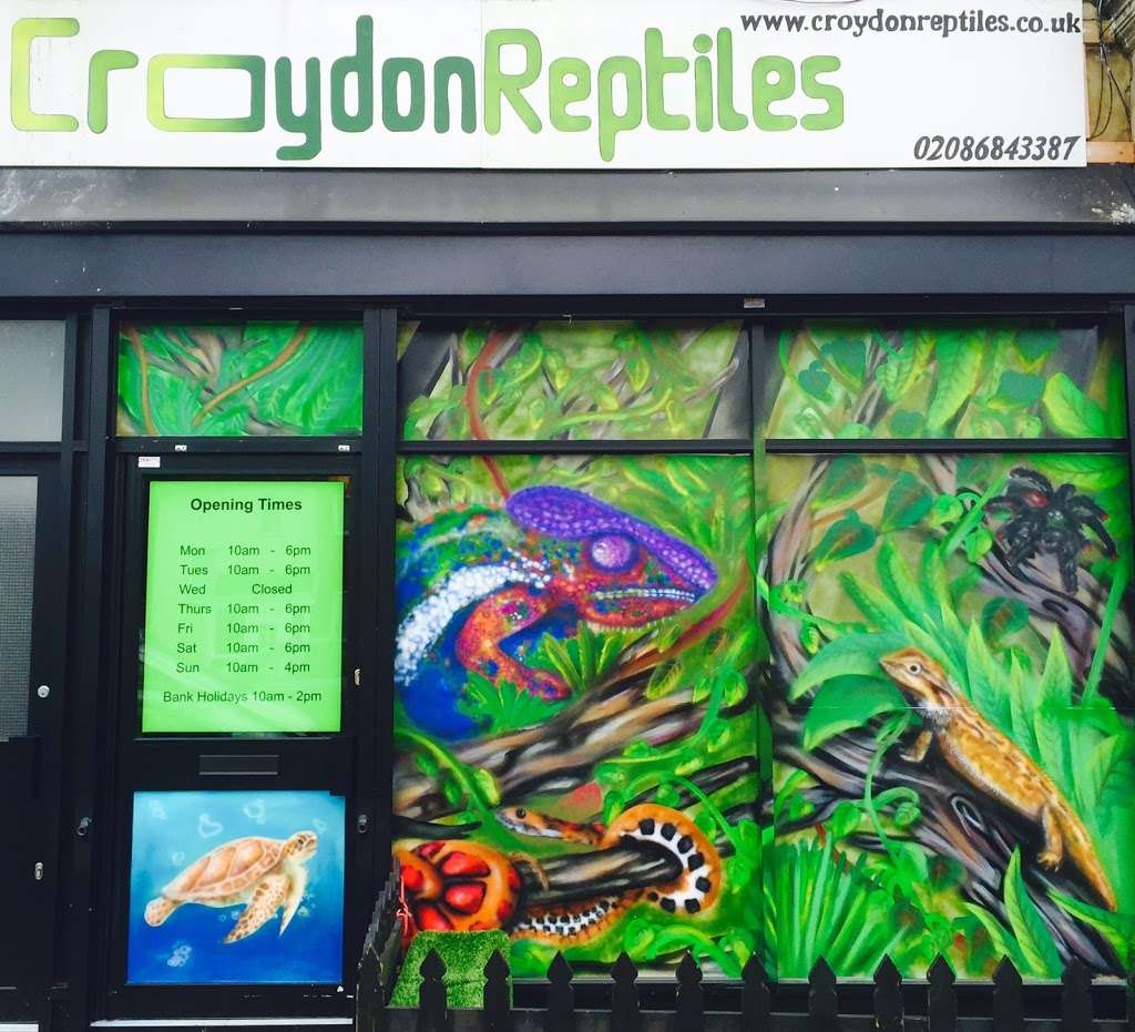 Croydon Reptiles | 228 Mitcham Rd, Croydon CR0 3JJ, UK | Phone: 020 8684 3387