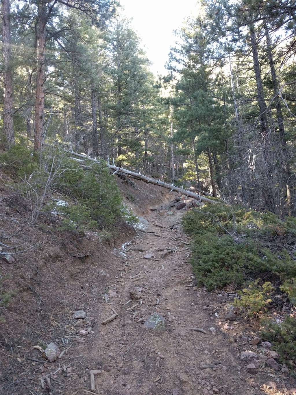 Creekside Trail | Palmer Lake, CO 80133, USA