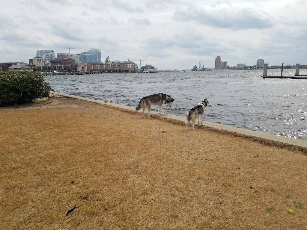 Bea Arthur Dog Park | 501 Front St, Norfolk, VA 23510, USA | Phone: (757) 622-7382