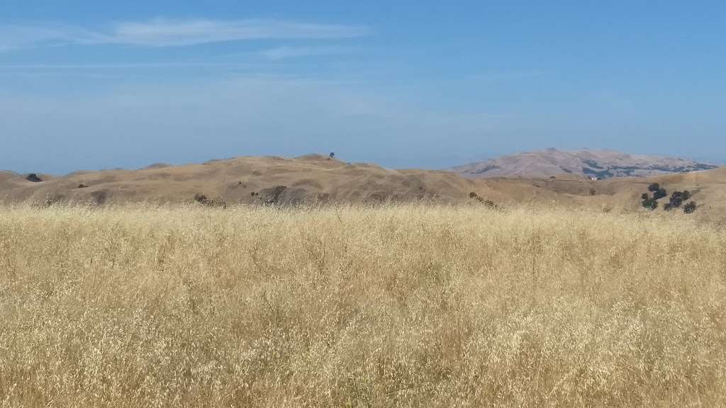 End of the Trail - Picnic Area | Calaveras Fault Trail, San Jose, CA 95127, USA