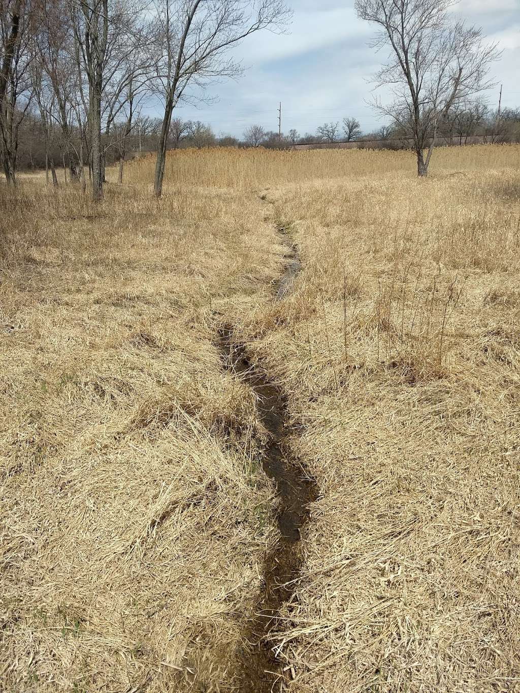 Bakers Lake Nature Preserve | E Dundee Rd, Barrington, IL 60010, USA | Phone: (800) 870-3666