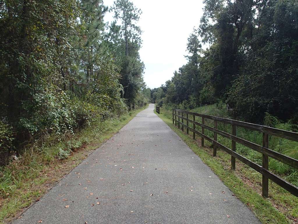 Blue springs hike trail | 385 Magnolia Ave, Orange City, FL 32763