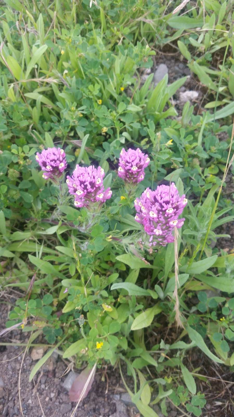 Coyote Creek Trail | Coyote Creek Trail, San Jose, CA 95138, USA