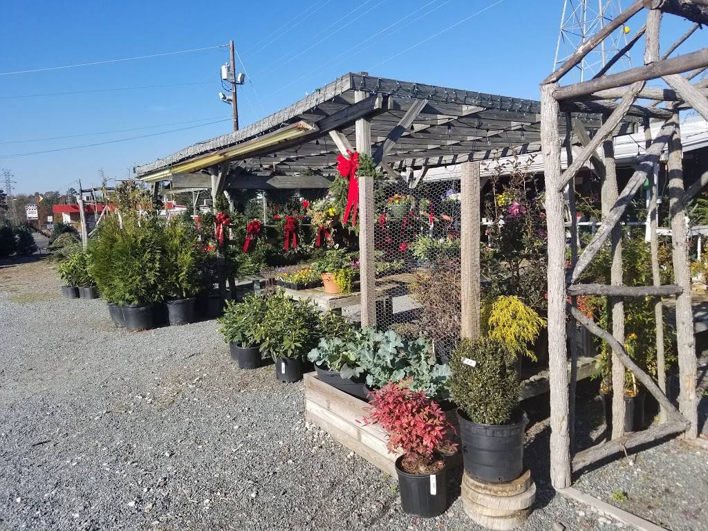 Buds Plants | 10200 Rozzelles Ferry Rd, Charlotte, NC 28214, USA | Phone: (704) 391-0569