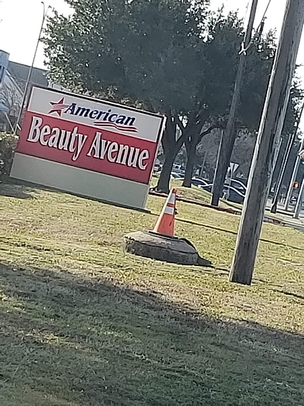 American Beauty Avenue | 5315 Matlock Rd, Arlington, TX 76018, USA | Phone: (817) 465-6969