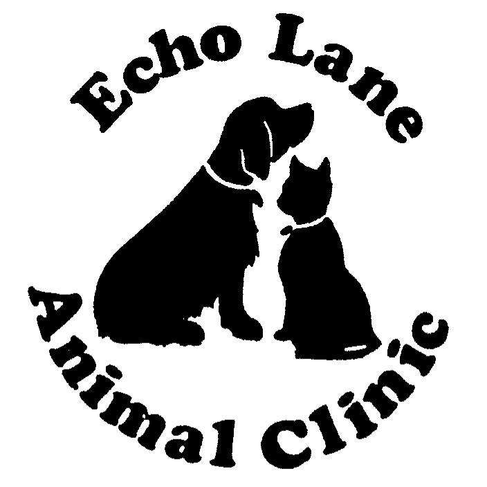 Echo Lane Animal Clinic | 9321 Katy Fwy, Houston, TX 77024, USA | Phone: (713) 467-3091