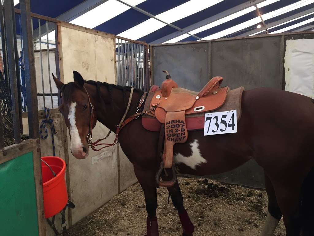 Justin Newland performance horses | 2727 S us Hwy 421, Westville, IN 46391, USA | Phone: (574) 933-2590