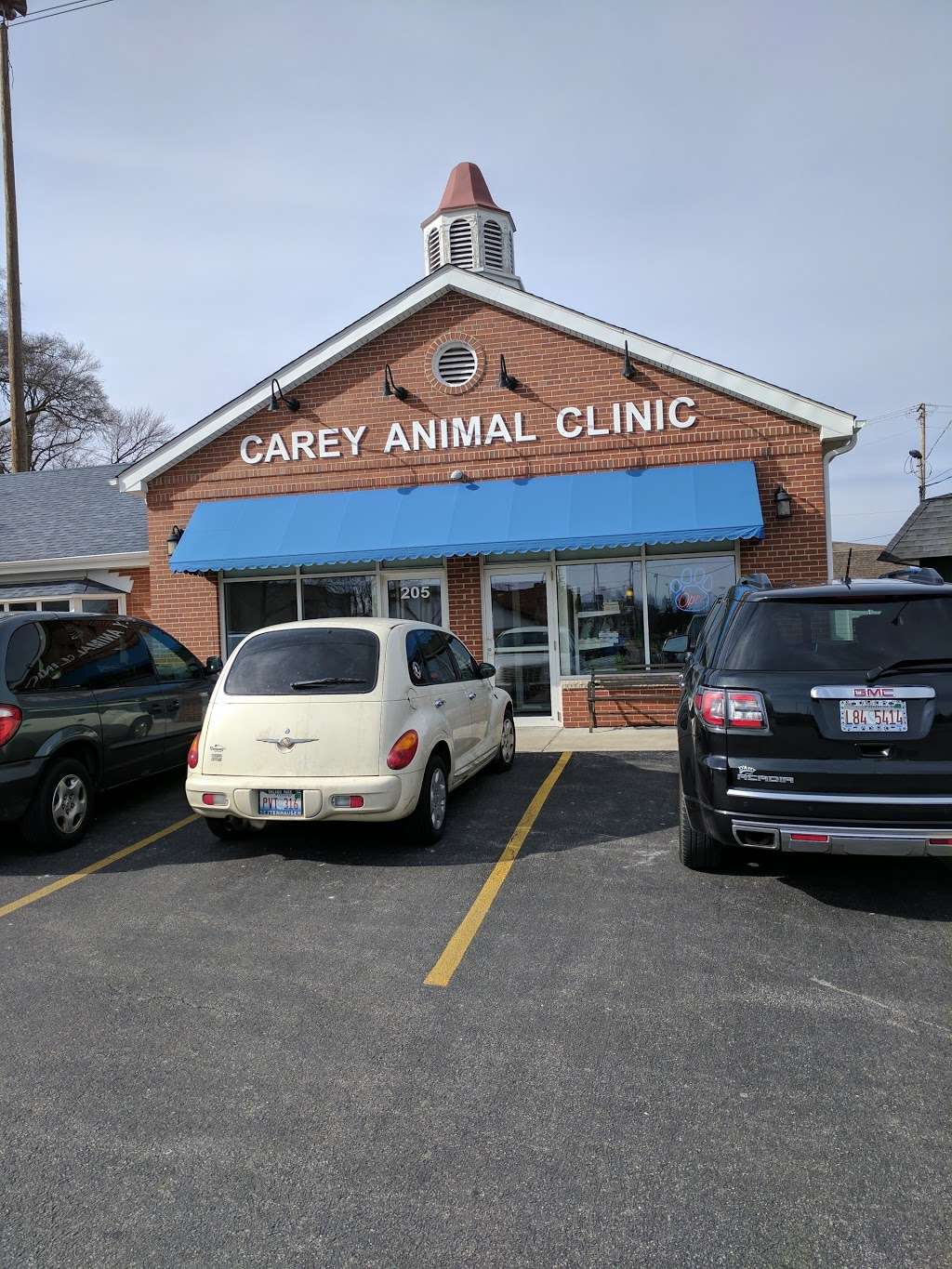 Carey Animal Clinic | 205 Church St, New Lenox, IL 60451 | Phone: (815) 462-2731