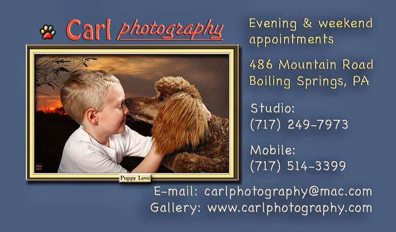 Carl Photography | 486 Mountain Rd, Boiling Springs, PA 17007, USA | Phone: (717) 249-7973