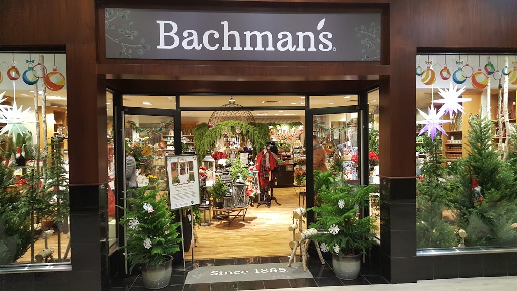 Bachmans at Galleria | 3510 Galleria #3585, Edina, MN 55435, USA | Phone: (952) 922-8910