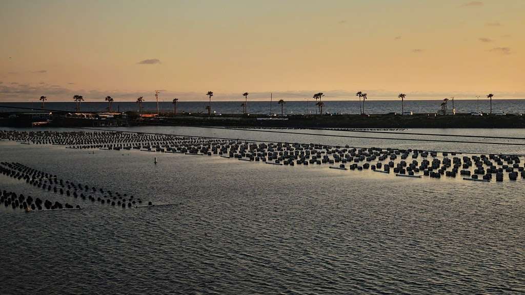 Agua Hedionda Lagoon | Lagoon Place, Carlsbad, CA 92008, USA | Phone: (760) 804-1969