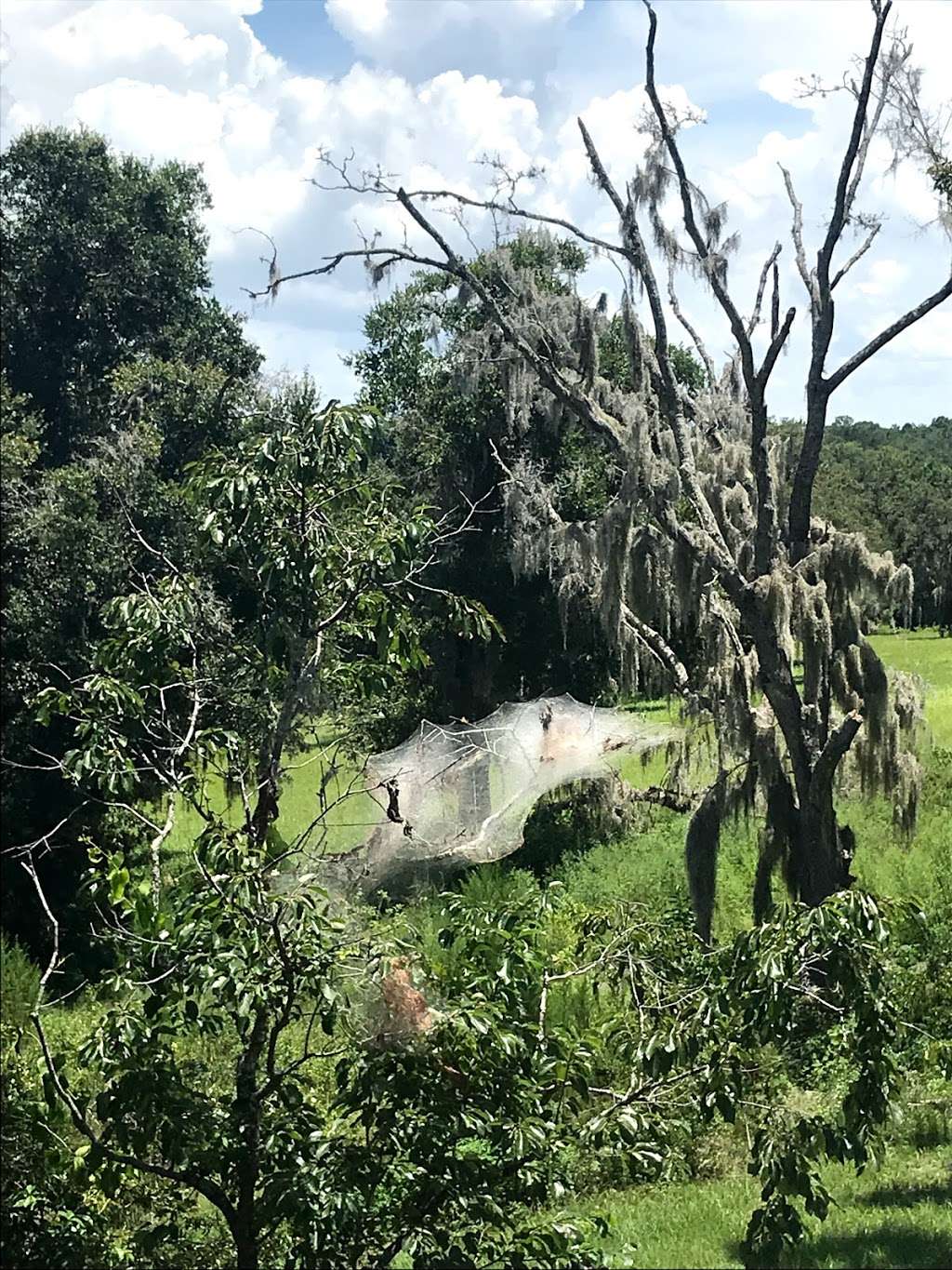 Green Mountain Trails | Mt Dora, FL 32757, USA