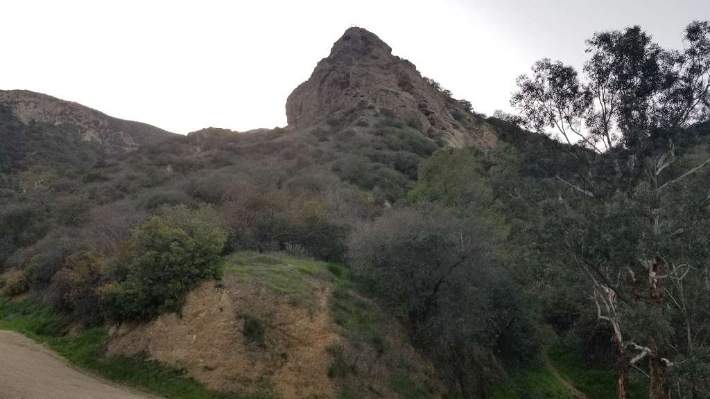 Fern Canyon Trail | Mineral Wells Trail, Los Angeles, CA 90027, USA