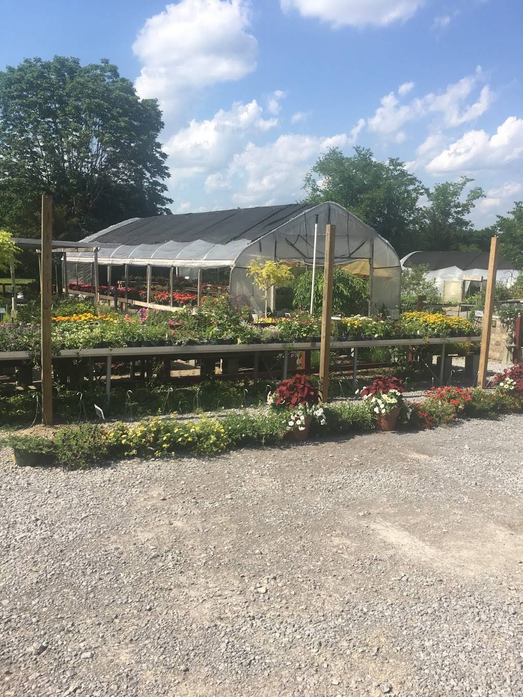 Natures Best Nursery, Lawn and Landscape | 7362 Nolensville Rd, Nolensville, TN 37135, USA | Phone: (615) 776-5372