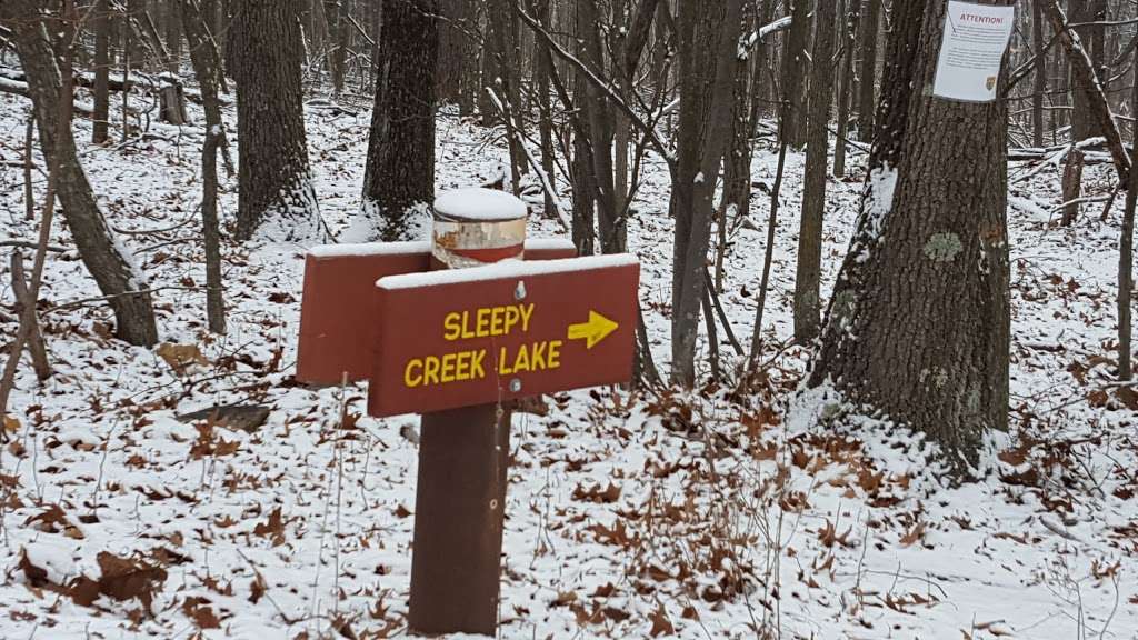 Sleepy Creek Wildlife Management Area & Campground | Berkeley Springs, WV 25411, USA | Phone: (304) 822-3551