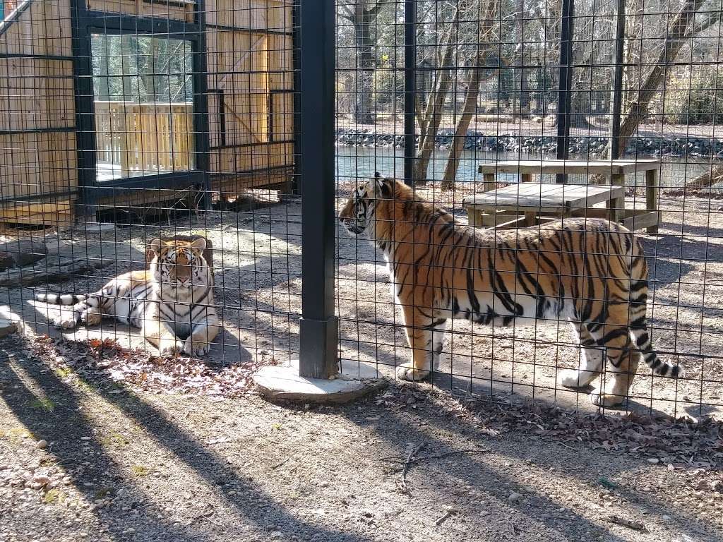 Cohanzick Zoo | 45 Mayor Aitken Dr, Bridgeton, NJ 08302, USA | Phone: (856) 453-1658