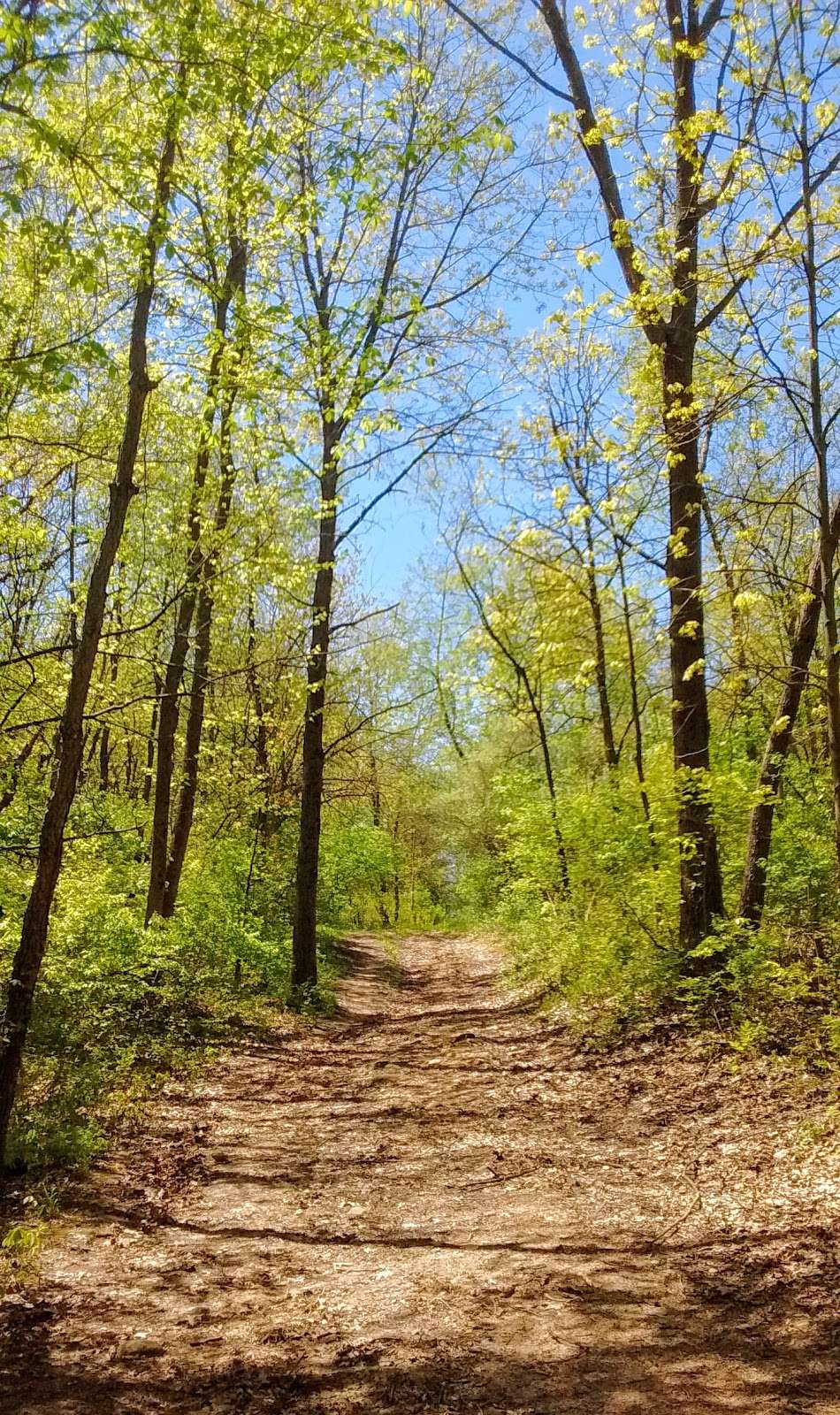Campton Forest Preserve | 4N379 Town Hall Rd, St. Charles, IL 60175, USA | Phone: (630) 232-5980