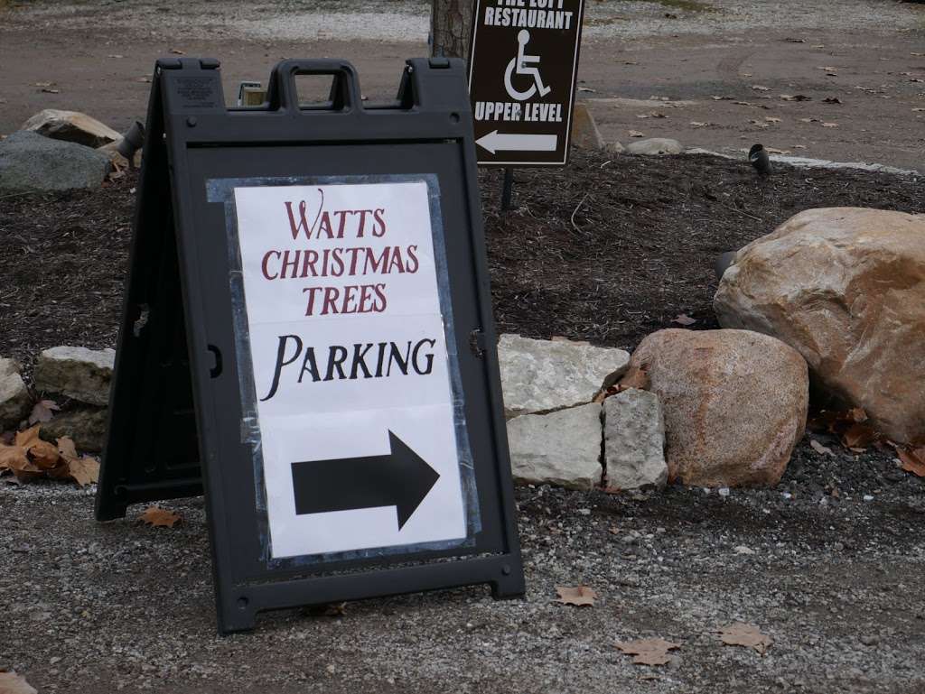 Watts Christmas Tree Farm and Sparkle Shop | 9101 Moore Rd, Zionsville, IN 46077 | Phone: (317) 873-2365