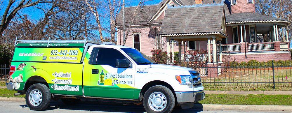 All Pest Solutions | 2025 E Stone Rd, Wylie, TX 75098, USA | Phone: (972) 442-1169