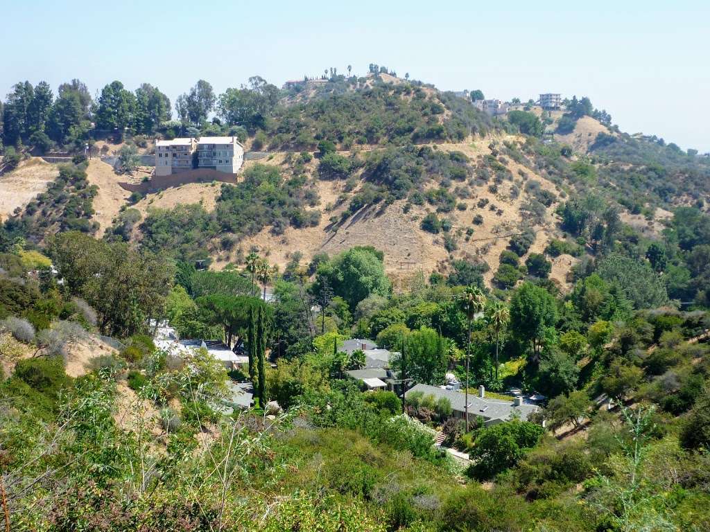 Laurel Canyon Park | Mulholland Dr, Los Angeles, CA 90046, USA | Phone: (818) 769-4415