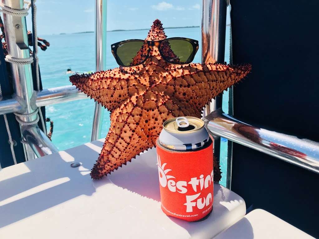 DESTINATION FUN TRAVEL | 829 W Amity St, Louisburg, KS 66053, USA | Phone: (913) 244-4343