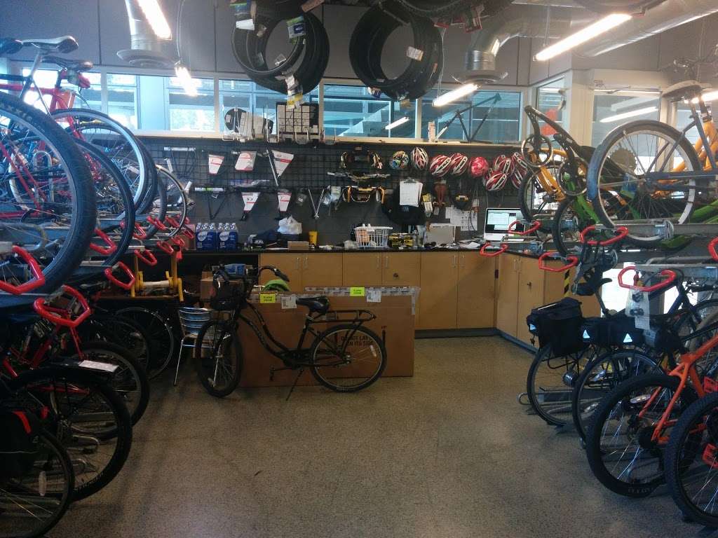 The Bicycle Cellar | 200 E 5th St #105, Tempe, AZ 85281, USA | Phone: (480) 219-7225