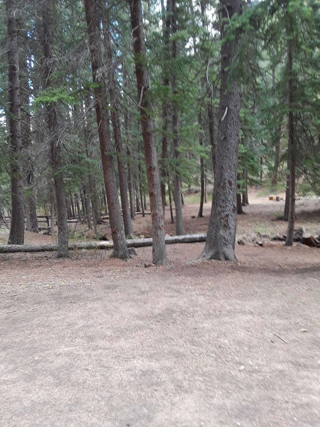 Green Mountain Campground | 20950 S Buffalo Creek Rd, Pine, CO 80470, USA