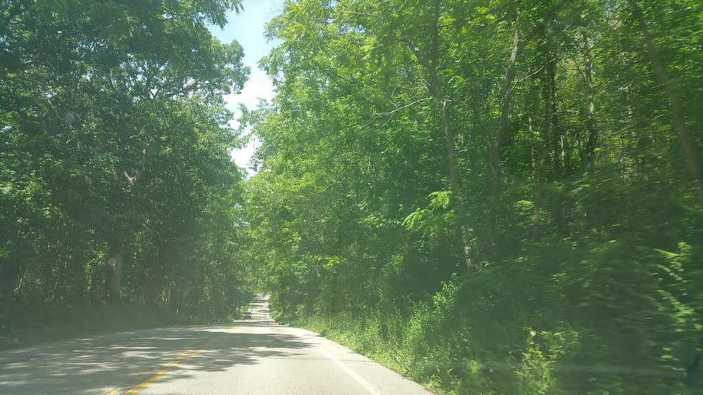 Silver Lake Bog State Natural Area | Salem, WI 53168, USA | Phone: (262) 857-1869