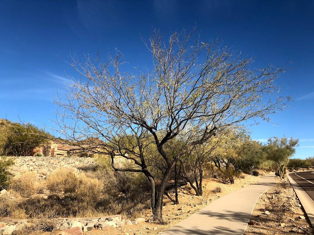 Sunrise Trailhead | 12101 N 145th Way, Scottsdale, AZ 85259, USA | Phone: (480) 619-7974