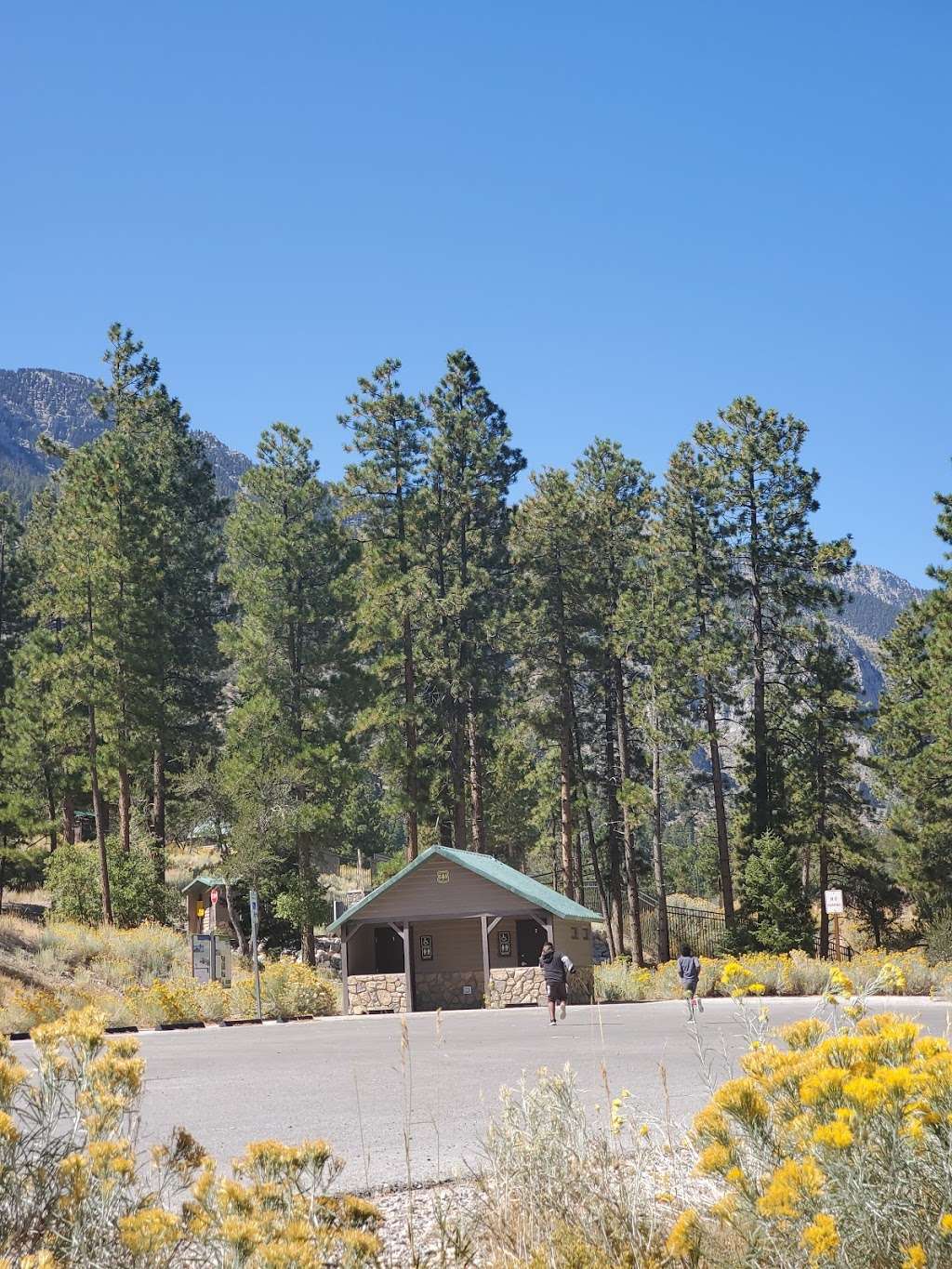 Cathedral Rock Group Picnic area | Mt Charleston, NV 89124, USA | Phone: (702) 872-5486