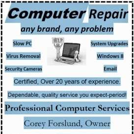 Professional Computer Services, LLC | 2292 Vineyard Dr, Castle Rock, CO 80104, USA | Phone: (720) 670-6527