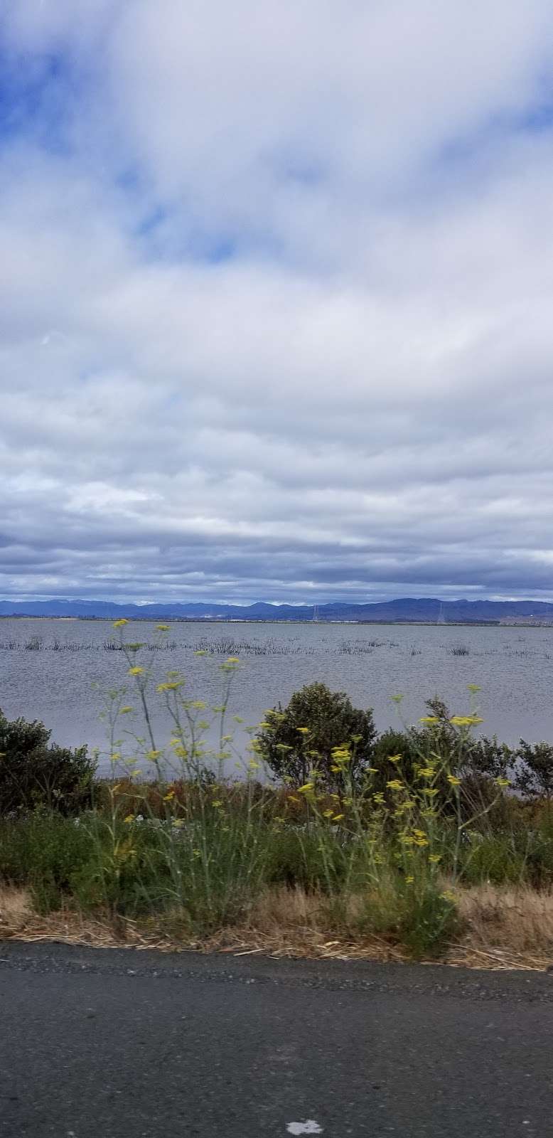 San Pablo Bay National Wildlife Refuge | Sonoma, CA 95476, USA