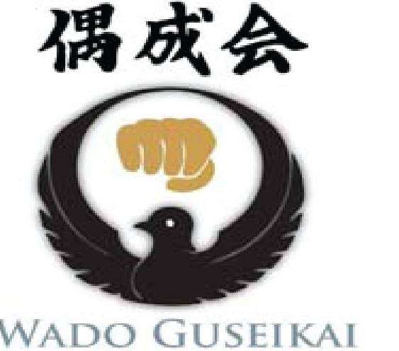 Wado Kai Karate DO New York | 10206 Jamaica Ave, Jamaica, NY 11418, USA | Phone: (718) 441-7525