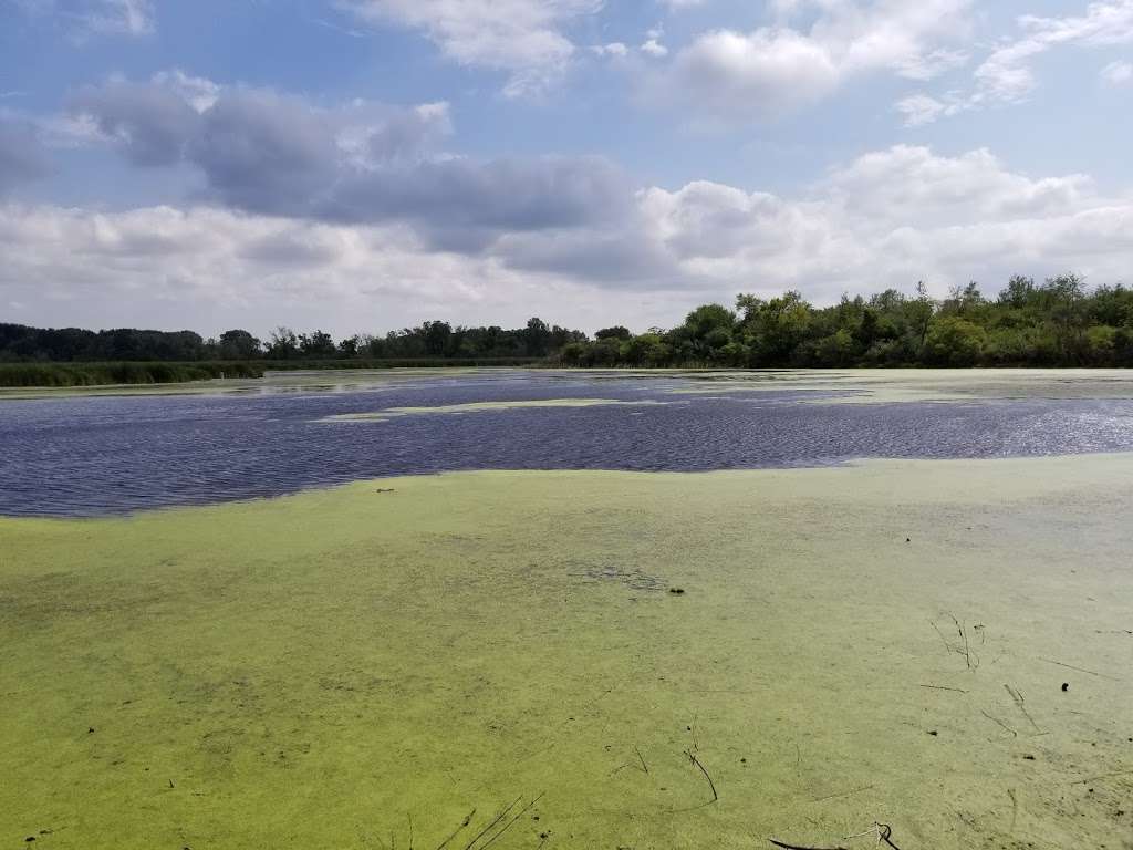 Exner Marsh Conservation Area | 9000 N Lakewood Rd, Lake in the Hills, IL 60156 | Phone: (815) 338-6223