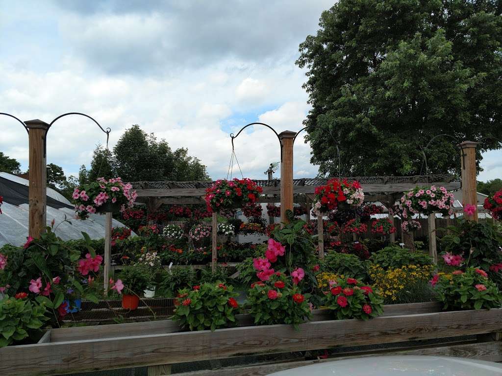 Wrights Garden Center | 378 E Center St, West Bridgewater, MA 02379, USA | Phone: (508) 583-2941