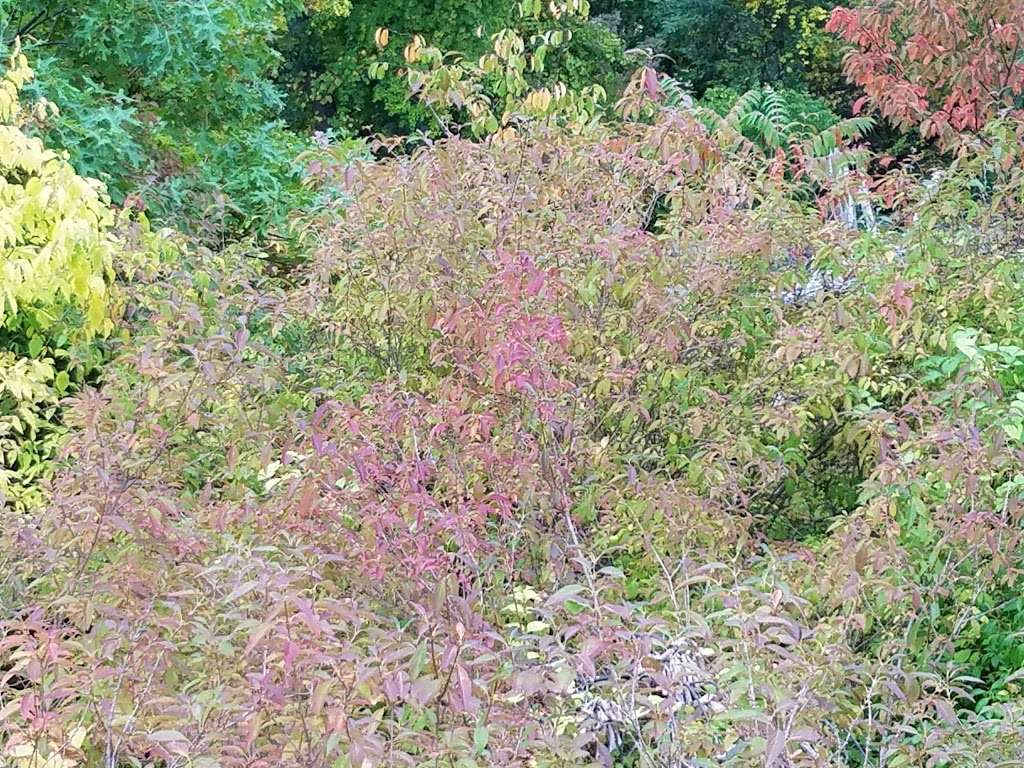 Graymoor Book & Gift Center | 1 Little Flower Square, Garrison, NY 10524, USA | Phone: (845) 424-2100