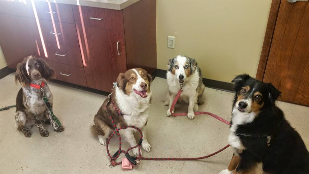 Willowbend Animal Hospital | 7606 E 37th St N, Wichita, KS 67226, USA | Phone: (316) 854-9271