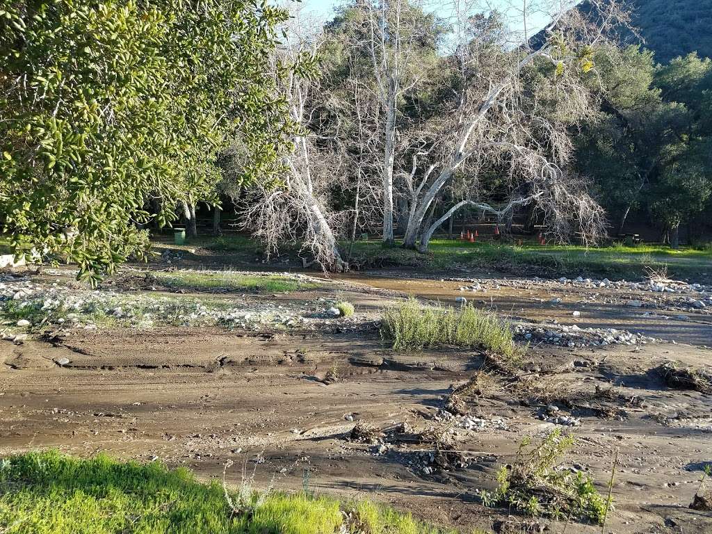 Placerita Canyon Nature Center | 19152 Placerita Canyon Rd, Newhall, CA 91321 | Phone: (661) 259-7721