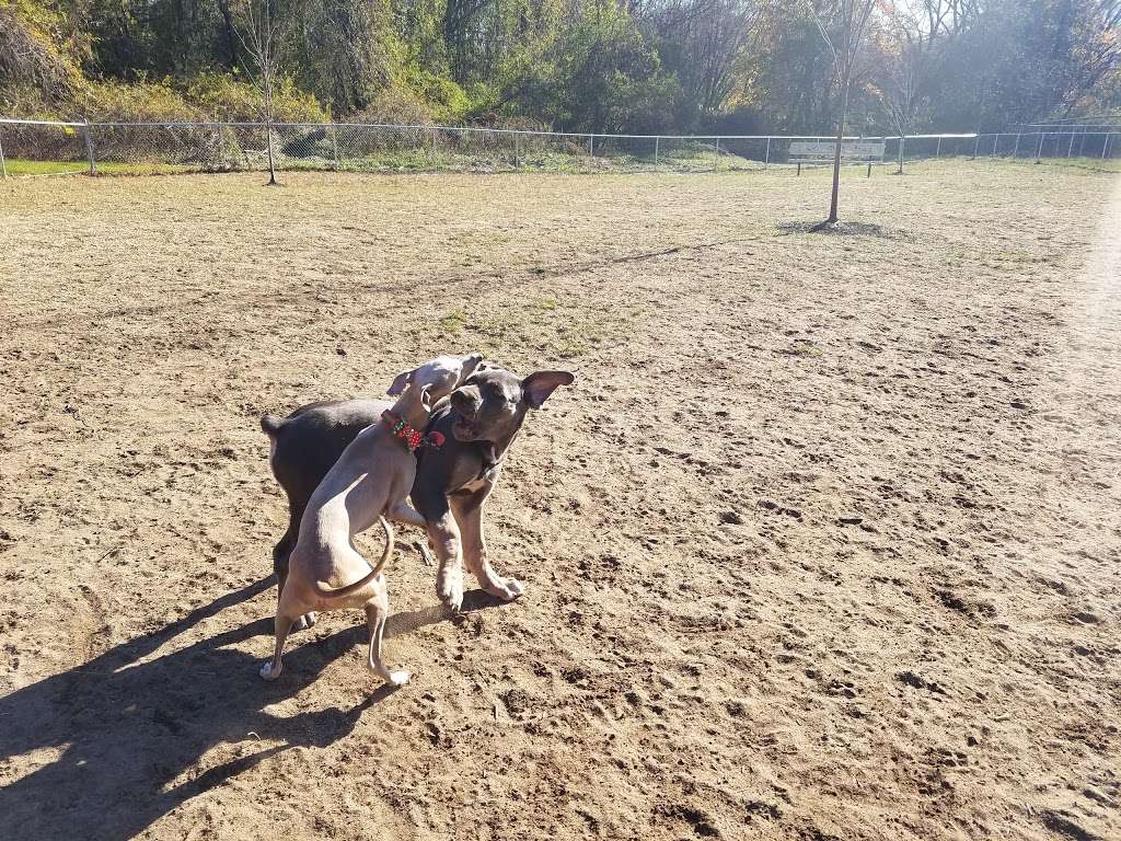 Deptford Doggie Park | 505 Deptford Ave, Westville, NJ 08093, USA