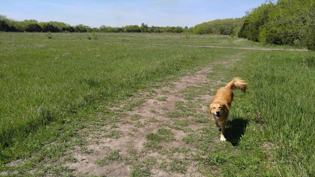 Mutt Run Dog Park | 1330, E 902 Rd, Lawrence, KS 66047, USA