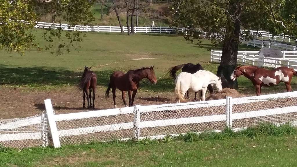 Great Scott Farm | 1375 Yellow Springs Rd, Malvern, PA 19355, USA | Phone: (610) 960-9174