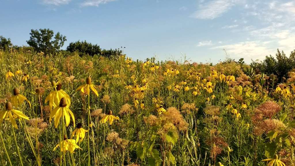 Linn Nature Park | 1298 Maple Ridge Rd, Lake Geneva, WI 53147, USA