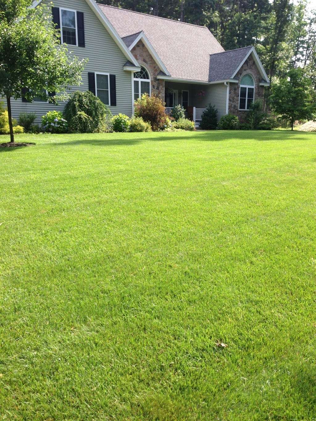 Lawn Dawg | 65 Ryan Dr #7f, Raynham, MA 02767, USA | Phone: (508) 844-4040