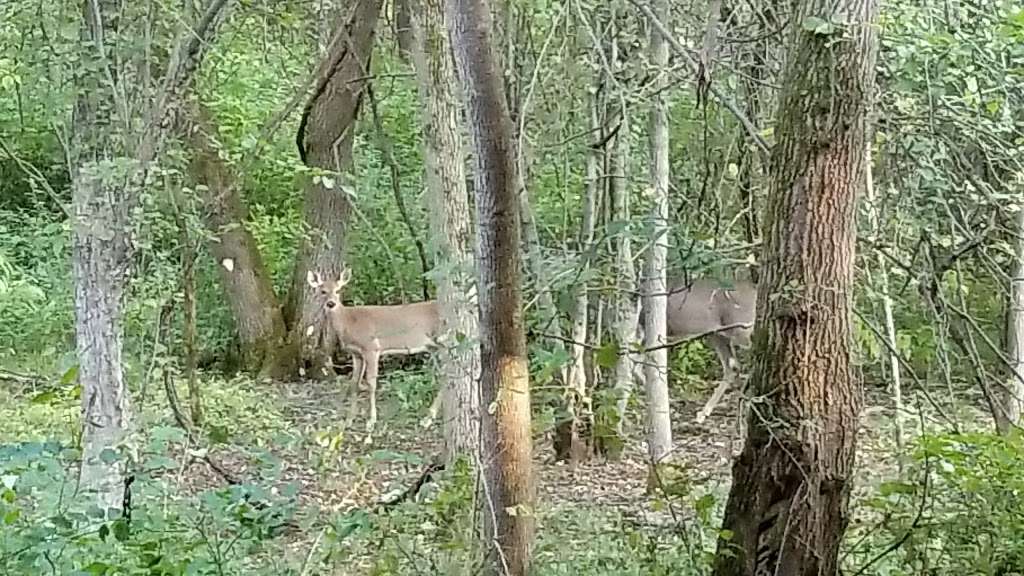 River Bend Nature Center | 3600 N Green Bay Rd, Racine, WI 53404, USA | Phone: (262) 639-1515